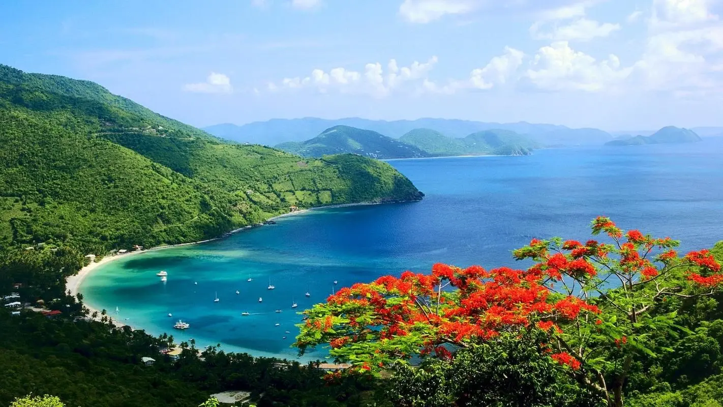 节能高质量网络化